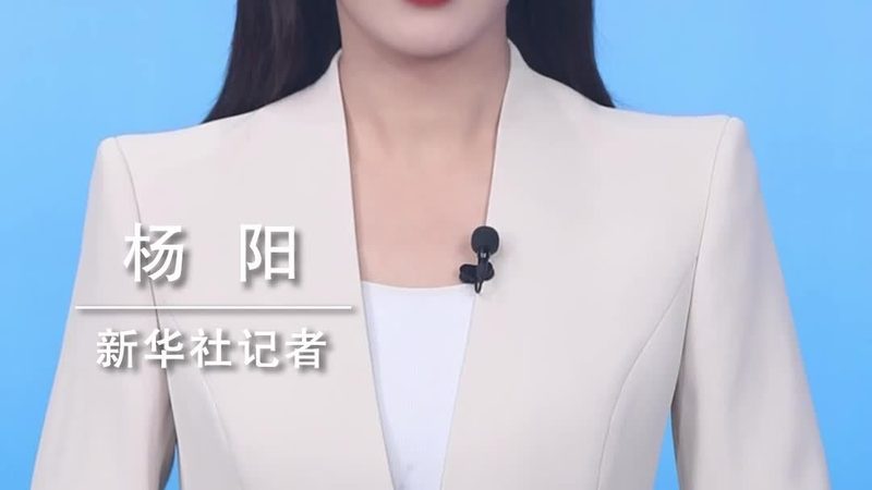 IT运维服务合同签订要点解析**